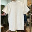 画像3: 90's〜 ビンテージ【SANSEGAL】【アラスカ】自然と動物プリント【グレー】【Ｔシャツ】【サイズM】<br> (3)