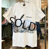 90's〜 ビンテージ【SANSEGAL】【アラスカ】自然と動物プリント【グレー】【Ｔシャツ】【サイズM】 