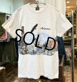 90's〜 ビンテージ【SANSEGAL】【アラスカ】自然と動物プリント【グレー】【Ｔシャツ】【サイズM】 