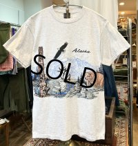90's〜 ビンテージ【SANSEGAL】【アラスカ】自然と動物プリント【グレー】【Ｔシャツ】【サイズM】 