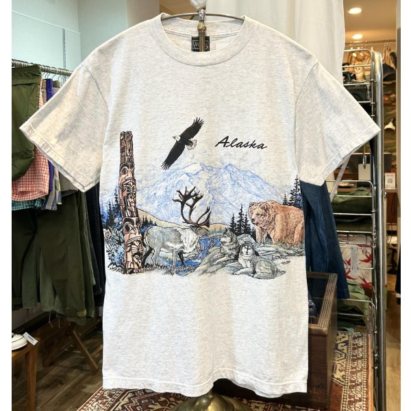 画像1: 90's〜 ビンテージ【SANSEGAL】【アラスカ】自然と動物プリント【グレー】【Ｔシャツ】【サイズM】 