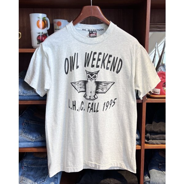 画像1: 90's【USA製】ビンテージ【フルーツオブザルーム】FRUIT OF THE LOOM【霜降りグレー】【OWL WEEKEND】ミミズク フクロウ【Ｔシャツ】【サイズL】 