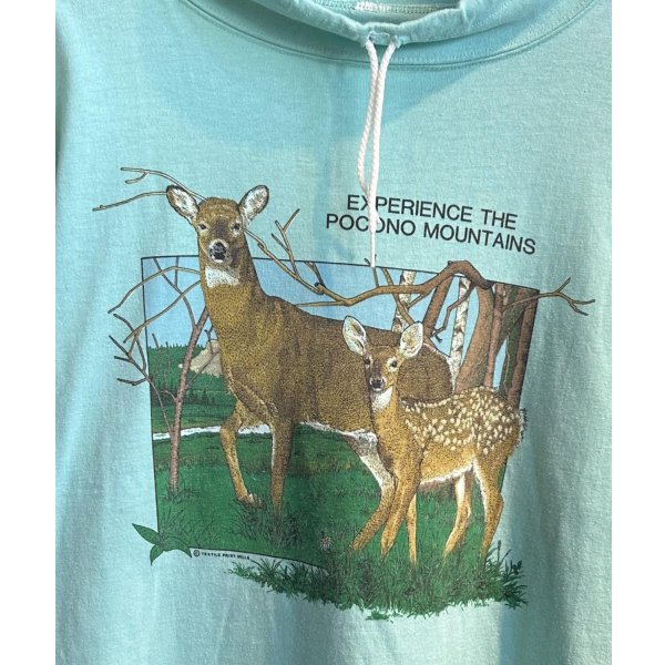 画像2: 90's〜【EXPERIENCE THE POCOND MOUNTAINS】ポコノマウンテン【ライムグリーン】【鹿】ハイネック【半袖Tシャツ】【サイズＬ程度】 