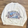 画像1: 90's【USA製】ビンテージ【ONEITA】【オニータ】【ウエストバージニア】 ゴーリーリバー【GAULEY RIVER】 バックプリント付き  グレー【スウェット】L <br> (1)