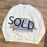 90's【USA製】ビンテージ【ONEITA】【オニータ】【ウエストバージニア】 ゴーリーリバー【GAULEY RIVER】 バックプリント付き  グレー【スウェット】L  