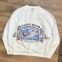 90's【USA製】ビンテージ【ONEITA】【オニータ】【ウエストバージニア】 ゴーリーリバー【GAULEY RIVER】 バックプリント付き  グレー【スウェット】L  