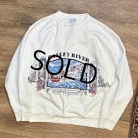 90's【USA製】ビンテージ【ONEITA】【オニータ】【ウエストバージニア】 ゴーリーリバー【GAULEY RIVER】 バックプリント付き  グレー【スウェット】L  