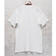 画像5: 90's~【USA製】 ビンテージ【FRUIT OF THE LOOM 】フルーツオブザルーム【siltbreeze presents】骸骨【白】【 Tシャツ】【サイズM】<br> (5)