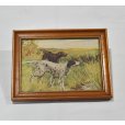 画像1: 【ビンテージ】アンティーク【イングリッシュセッター×アイリッシュセッター】フレーム付き【絵画】【雑貨】置物<br> (1)
