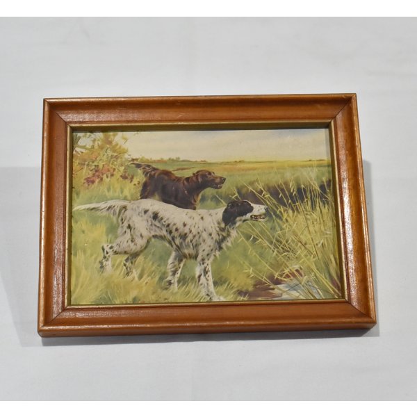 画像1: 【ビンテージ】アンティーク【イングリッシュセッター×アイリッシュセッター】フレーム付き【絵画】【雑貨】置物 