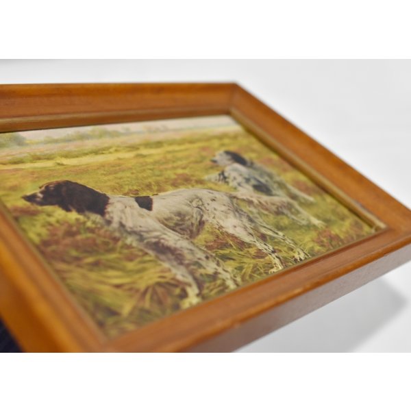 画像5: 【ビンテージ】アンティーク【２頭のイングリッシュセッター】フレーム付き【絵画】【雑貨】置物 