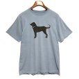 画像1: 【ビンテージ】【The Black Dog】ブラックドッグ【青】【犬プリント】【Tシャツ】【サイズS】<br> (1)