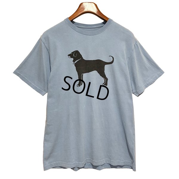 画像1: 【ビンテージ】【The Black Dog】ブラックドッグ【青】【犬プリント】【Tシャツ】【サイズS】 
