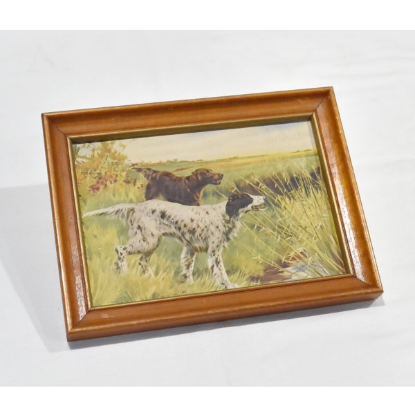 画像2: 【ビンテージ】アンティーク【イングリッシュセッター×アイリッシュセッター】フレーム付き【絵画】【雑貨】置物 