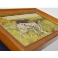 画像5: 【ビンテージ】アンティーク【イングリッシュセッター×アイリッシュセッター】フレーム付き【絵画】【雑貨】置物<br> (5)