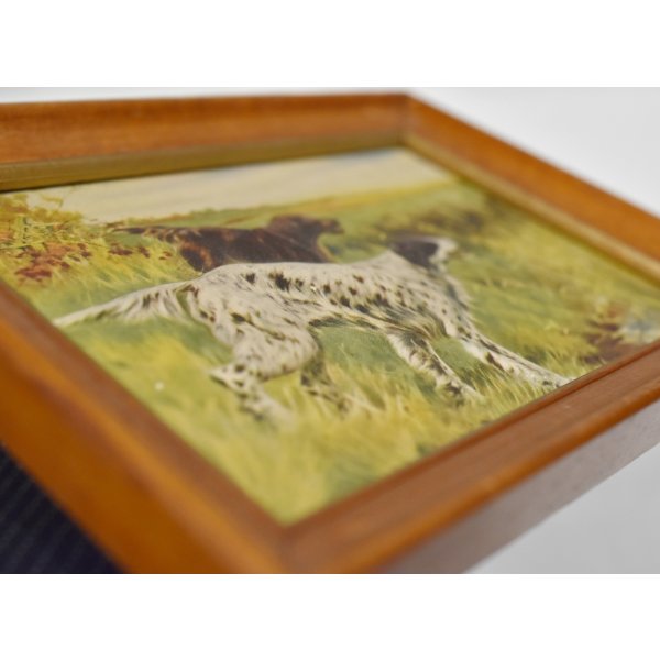 画像5: 【ビンテージ】アンティーク【イングリッシュセッター×アイリッシュセッター】フレーム付き【絵画】【雑貨】置物 