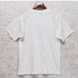 画像4: 90's【USA製】ビンテージ【SCREEN STARS】スクリーンスターズ【白】【cats know exactly~】猫プリント【Tシャツ】【サイズL】<br> (4)