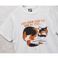 画像1: 90's【USA製】ビンテージ【SCREEN STARS】スクリーンスターズ【白】【cats know exactly~】猫プリント【Tシャツ】【サイズL】<br> (1)