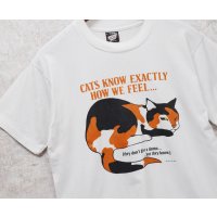 90's【USA製】ビンテージ【SCREEN STARS】スクリーンスターズ【白】【cats know exactly~】猫プリント【Tシャツ】【サイズL】 