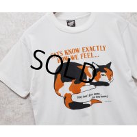 90's【USA製】ビンテージ【SCREEN STARS】スクリーンスターズ【白】【cats know exactly~】猫プリント【Tシャツ】【サイズL】 