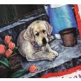 画像5: 【GILDAN】【ギルダン】Have a heart 子犬 プリント【国際動物福祉基金】IFAW【白】【Tシャツ】【サイズL】<br> (5)