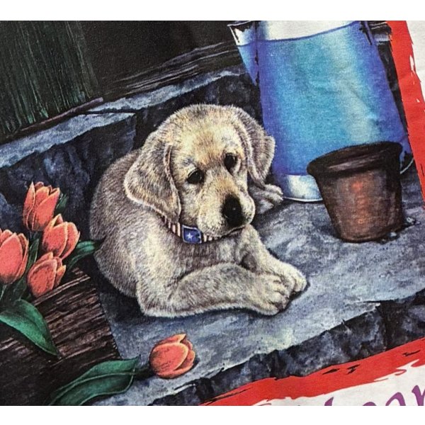 画像5: 【GILDAN】【ギルダン】Have a heart 子犬 プリント【国際動物福祉基金】IFAW【白】【Tシャツ】【サイズL】 