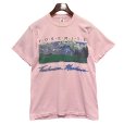 画像3: 90's【USA製】 ビンテージ【FRUIT OF THE LOOM 】フルーツオブザルーム【ヨセミテ】トゥオルミ・メドウス 【ピンク】【 Tシャツ】【サイズM】<br> (3)