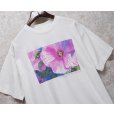画像1: 【USA製】 ビンテージ【ALL Sports】オールスポーツ【MAUI】マウイ【白】ハイビスカス【 Tシャツ】【サイズXL】<br> (1)