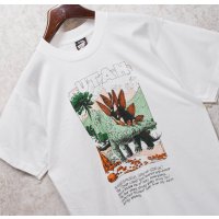 90's【USA製】ビンテージ【SCREEN STARS】【白】【ステゴサウルス】恐竜【Tシャツ】【サイズL】 
