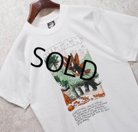 90's【USA製】ビンテージ【SCREEN STARS】【白】【ステゴサウルス】恐竜【Tシャツ】【サイズL】 