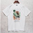 画像3: 90's【USA製】ビンテージ【SCREEN STARS】【白】【ステゴサウルス】恐竜【Tシャツ】【サイズL】<br> (3)