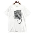 画像1: ビンテージ【GILDAN】【ギルダン】エイ【STINGRAY CITY】【白】【Tシャツ】【サイズL程度】<br> (1)