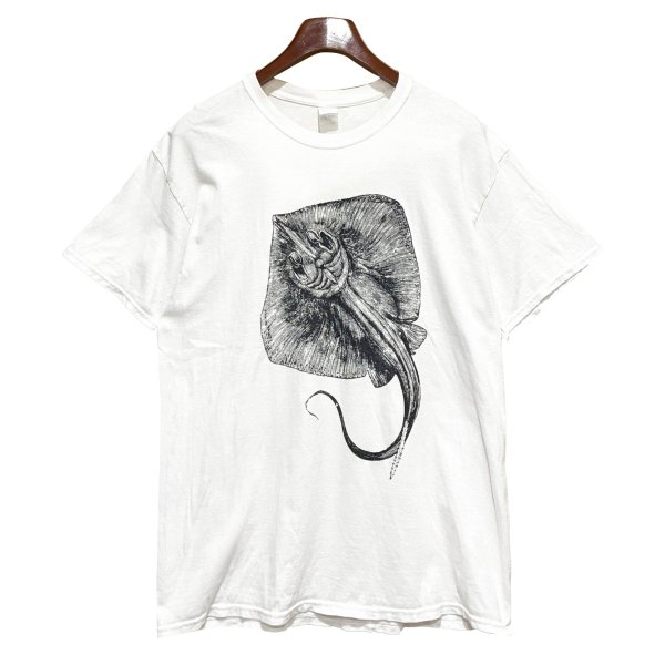 画像1: ビンテージ【GILDAN】【ギルダン】エイ【STINGRAY CITY】【白】【Tシャツ】【サイズL程度】 