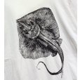 画像3: ビンテージ【GILDAN】【ギルダン】エイ【STINGRAY CITY】【白】【Tシャツ】【サイズL程度】<br> (3)