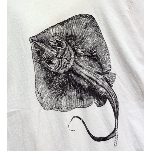 画像3: ビンテージ【GILDAN】【ギルダン】エイ【STINGRAY CITY】【白】【Tシャツ】【サイズL程度】 