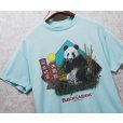 画像1: ~90's【USA製】 ビンテージ Tee Jays【BUSCH GARDENS】 ブッシュ・ガーデンズ【ターコイズ】パンダ【 Tシャツ】イラスト【サイズL】<br> (1)