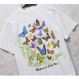 画像2: 【ビンテージ】【JIB】【Mariposas de Costa Rica】蝶【白】プリント【Tシャツ】【サイズS】<br> (2)