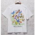 画像1: 【ビンテージ】【JIB】【Mariposas de Costa Rica】蝶【白】プリント【Tシャツ】【サイズS】<br> (1)