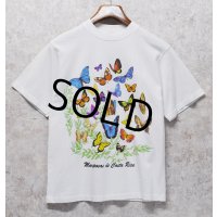 【ビンテージ】【JIB】【Mariposas de Costa Rica】蝶【白】プリント【Tシャツ】【サイズS】 