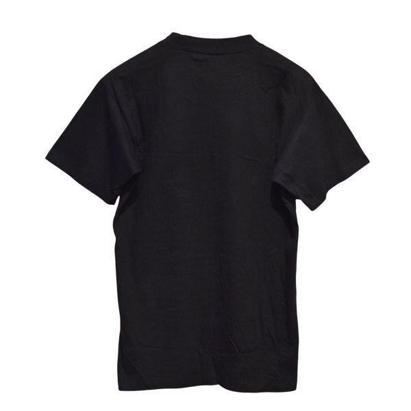 画像4: ほぼ未使用 【90's】ビンテージ【USA製】【デイトナビーチ】BIKE WEEK DAYTONA BEACH 1995 【イーグル】プリント【Tシャツ】Lサイズ程度