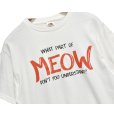 画像3: 00's【ビンテージ】【FRUIT OF THE LOOM 】フルーツオブザルーム【WHAT PART OF MEOW】猫 プリント【 Tシャツ】ネコ【サイズM】<br> (3)