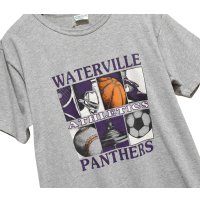 【90's】【USA製】ビンテージ【Kellsport】【WATERVILLE ATHLETICS PANTHERS】【スポーツアイコンプリントTシャツ】【L】