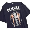 画像1: ビンテージ【00's】【ANVIL】アンビル【BODIES THE EXHIBITION】【人体標本プリントTシャツ】【2XL】 (1)