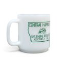 画像5: 【80's】【ガラスベイク】【CENTRAL HAWKEYE GAS ENGINE & TRACTOR ASSOCIATION】白【アドマグ】【マグカップ】 (5)