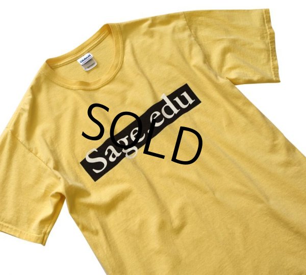 画像1: 【ビンテージ】【黄】【Sage.edu】【Ｔシャツ】【サイズＭ】  (1)