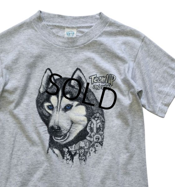 画像1: 【USA製】【ビンテージ】【シベリアンハスキー】犬【Tシャツ】【サイズS程度】レディース古着【youth L】  (1)