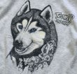 画像3: 【USA製】【ビンテージ】【シベリアンハスキー】犬【Tシャツ】【サイズS程度】レディース古着【youth L】  (3)