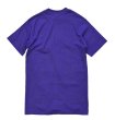 画像5: 【USA製】【90's】 【ビンテージ】【Hanes】ヘインズ【RIVER BLUES】Tシャツ 紫【サイズM】   (5)