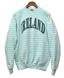 画像3: 【ビンテージ】USA製【IRELAND】【うす緑×グレー】【ボーダー】【スウェット】【サイズＸＬ】  (3)