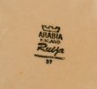画像2: ビンテージ【ARABIA】アンティーク【アラビア】【Ruija】【ルイージャ】【サラダプレート】皿 【20cm】   (2)